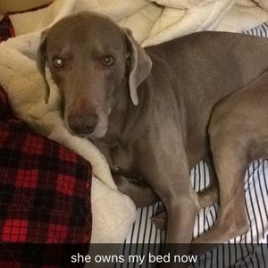 Meet your Posher, Connor